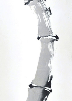YANG - 69,5X34,5