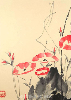 Rote Winden - 30X235
