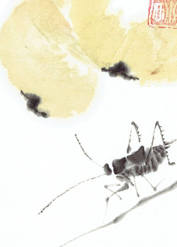 Heuschrecke und Quitten  - 16,5x12