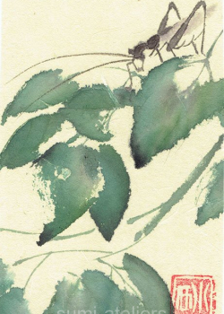 Heuschrecke auf einem Blatt - 15x9,5 