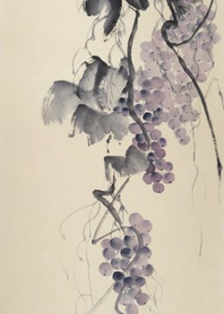 Raisin - 86X33,5