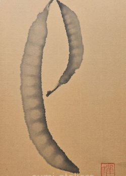 Bohnen - 17,5X11