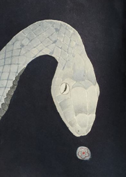 Serpent 2025 21,5x66