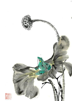 Frosch und Lotus - 31,5X18