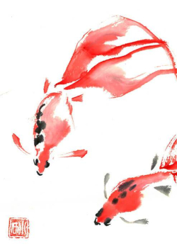 Goldfisch 2 - 24X24