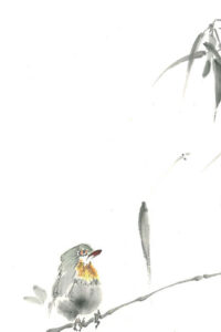 Kleiner Vogel mit orangefarbener Kehle sitzt flauschig aufgeplustert auf einem Zweig vor zartem Bambus im Winterlicht.