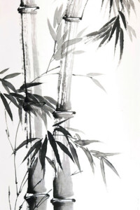 Zwei kräftige Bambusrohre mit langen, spitz zulaufenden Blättern füllen das Bild mit kraftvoller vertikaler Spannung.