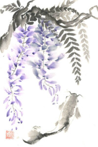 Ein eleganter Koi schwimmt ruhig unter herabhängenden Wisterienblüten. Die violetten Blütentrauben hängen in sanften Bögen von kräftigen Ästen, umrahmt von dunkelgrauen Blättern.