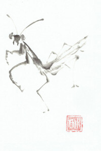 Eine filigrane Gottesanbeterin in gespannter Haltung – Sumi-e-Tuschemalerei mit klarer Linie von Nathalie Guski.