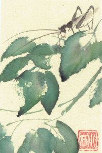 Eine fein gezeichnete Heuschrecke mit langen Fühlern sitzt auf saftig grünen Blättern - feine Beobachtung der Natur in Sumi-e-Technik von Nathalie Guski.