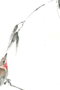 Ein kleiner Vogel sitzt aufmerksam auf einem dünnen Zweig vor einem kräftigen Bambusstamm; drei Blätter hängen herab und durchbrechen die weiße Leere des Hintergrunds.