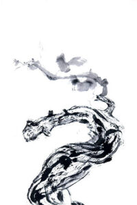 Ein knorriger, schwarz Weinstock schlängelt sich aufrecht über das Bild, begleitet von wenigen zarten Blättern.