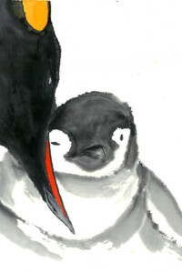 Ein Kaiserpinguin beugt sich schützend über sein flauschiges Küken; das junge Tier blickt ruhig und neugierig hervor, eingebettet in ein weiches Grau aus Gefieder.