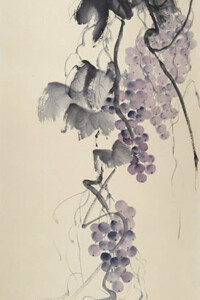 Zarte Reben ranken sich in Bögen, an denen üppige, violett getönte Trauben zwischen dunklem Laub herabhängen.