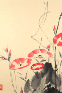 Leuchtend rote Windenblüten entfalten sich an zarten, gebogenen Stielen über einer dunklen Felsstruktur; einige geschlossene Knospen deuten still die kommende Blüte an.