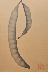 Zwei schwarze Bohnenhülsen auf beigefarbenem Bambuspapier. Die Zeichnung betont die runde Form der Bohnen im Inneren.