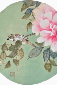 Ein kleiner braun-weißer Vogel blickt neugierig aus einem Zweig mit rosa und weißen Blüten.