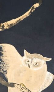 Großflächig gemalte, wachsame Eule mit ausgebreiteten Flügeln auf einem Ast vor dunklem Hintergrund.