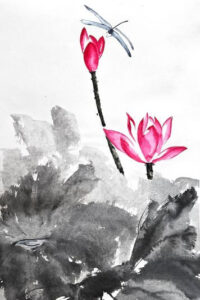 Zwei rosafarbene Lotusblüten und eine fliegende Libelle über dunklen Lotusblättern auf weißem Hintergrund.