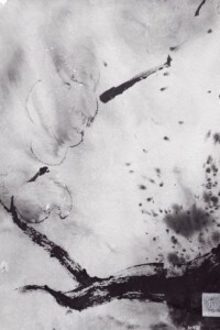 Dunkler Ast mit angedeuteten Kirschblüten im Sturm, in Schwarz-Weiß-Tusche gehalten.