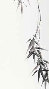 Ein Bambuszweig neigt sich sacht über ein stilles Gewässer, der Horizont lichtet sich im fernen Morgennebel.